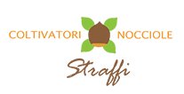 logo_straffi